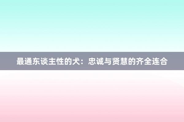 最通东谈主性的犬：忠诚与贤慧的齐全连合