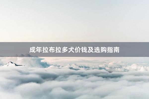 成年拉布拉多犬价钱及选购指南