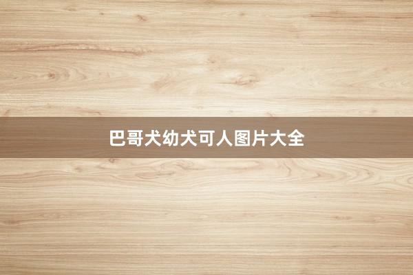 巴哥犬幼犬可人图片大全